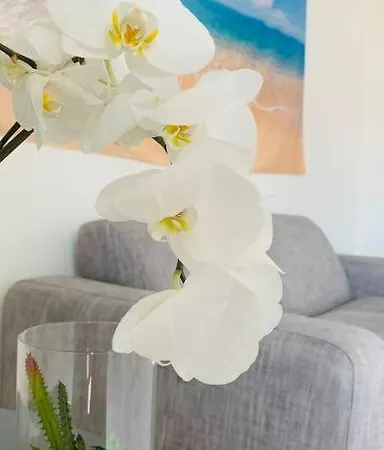 Seven House Poetto Apartment